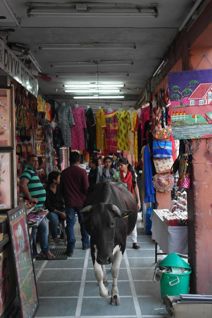 holy cow at a bazaar in india