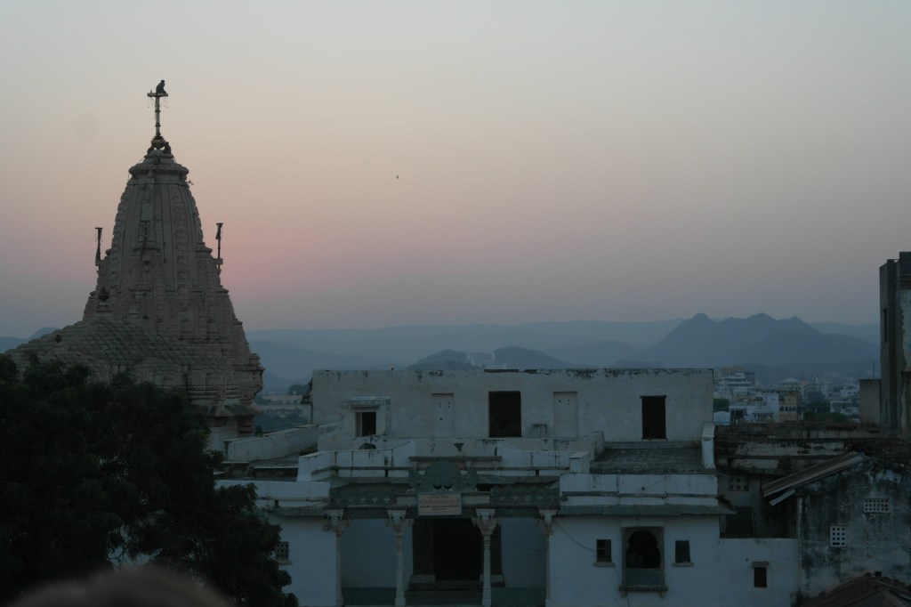 Udaipur monkey watching sunset on temple