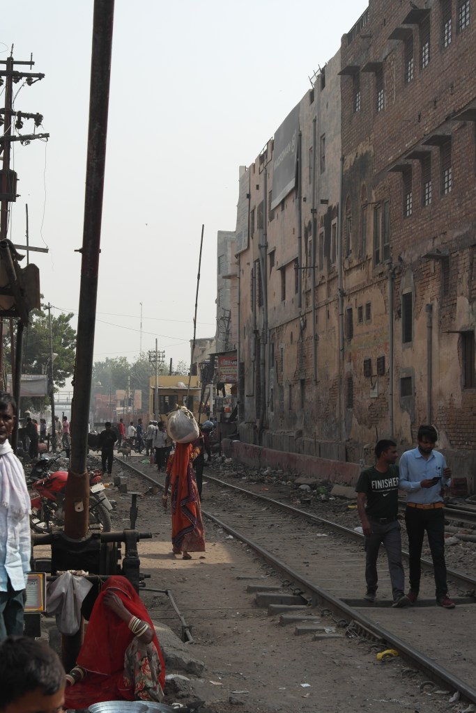 india bikaner street life